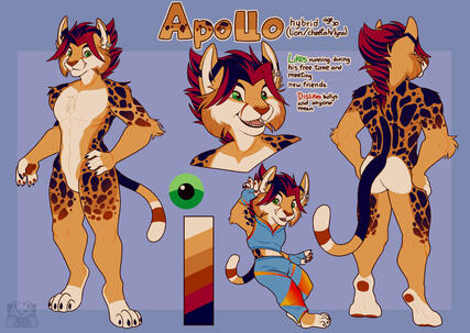 Medium Ref